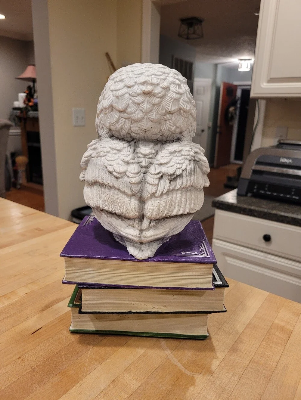 NEW Warner Brothers Harry Potter Hedwig Owl Perched On Books